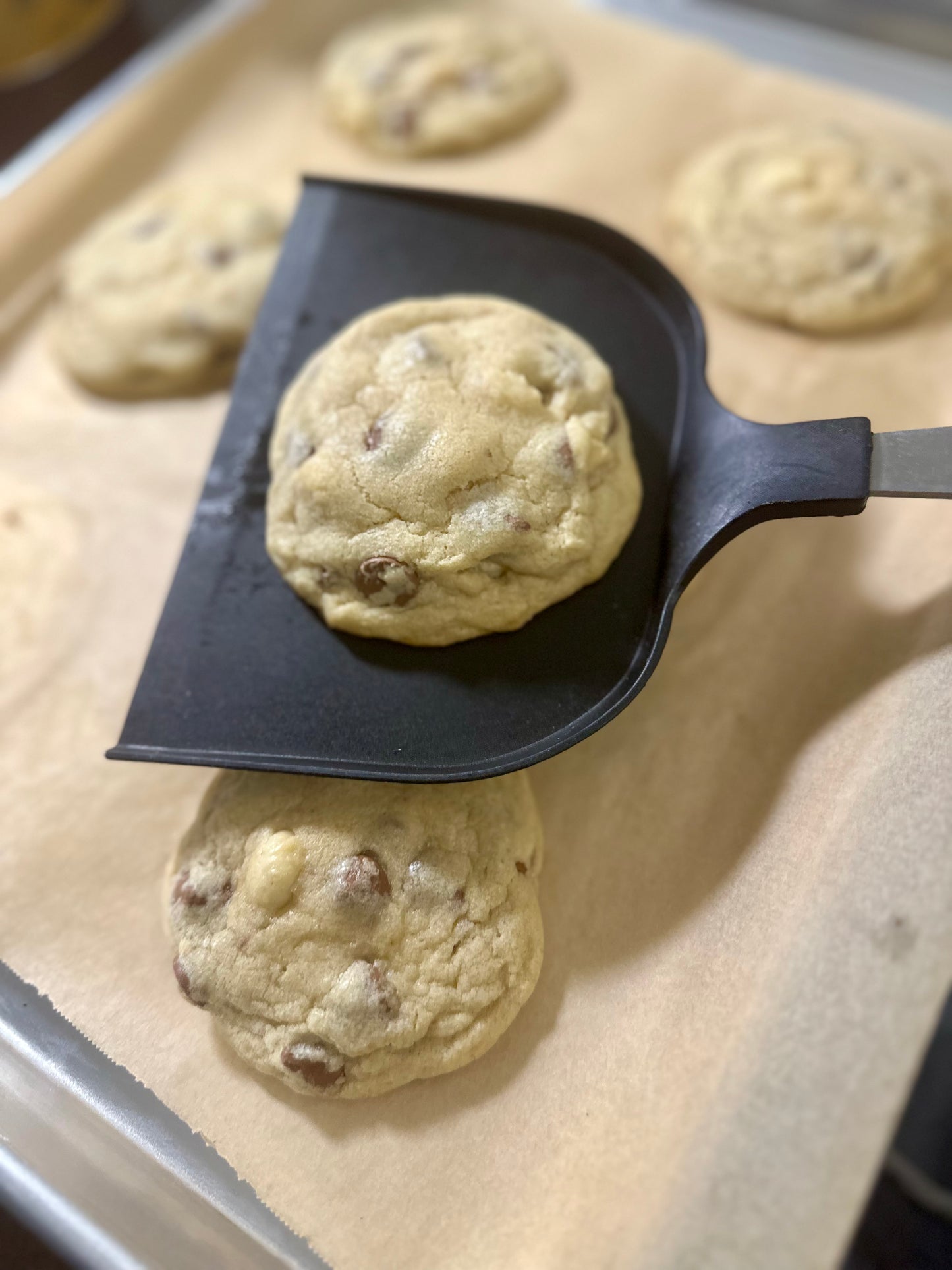 Milk Chocolate Macadamia Nut Cookies