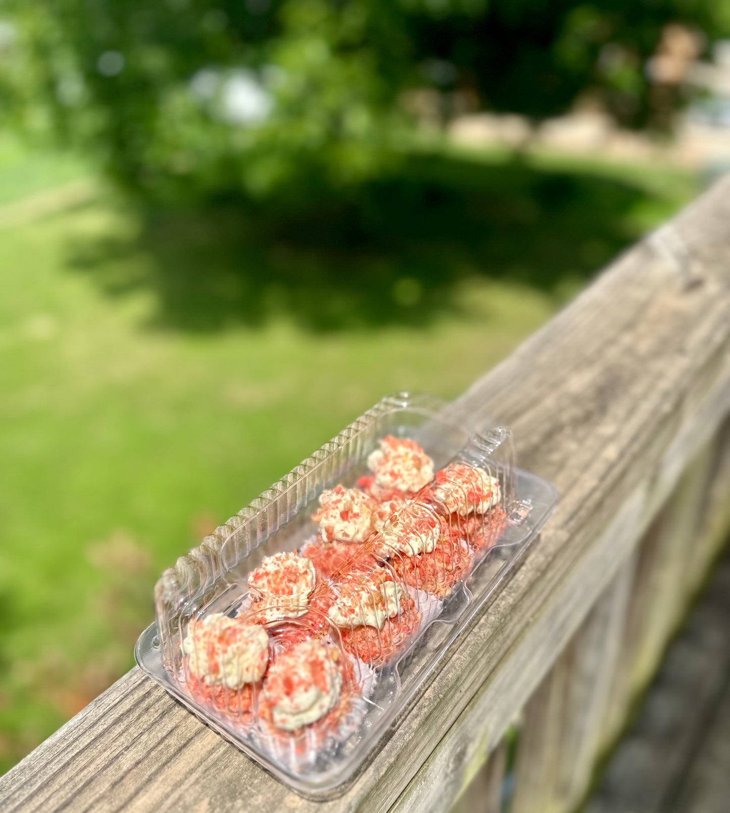 Strawberry Shortcake Cheesecake Berries