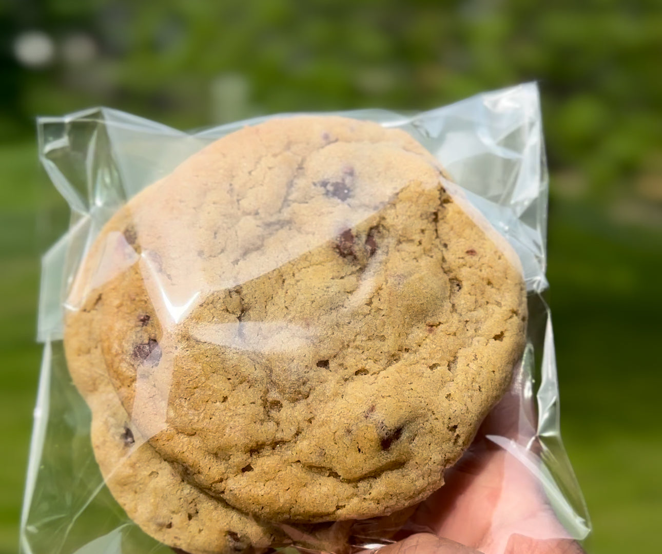 Chocolate Chip Cookies