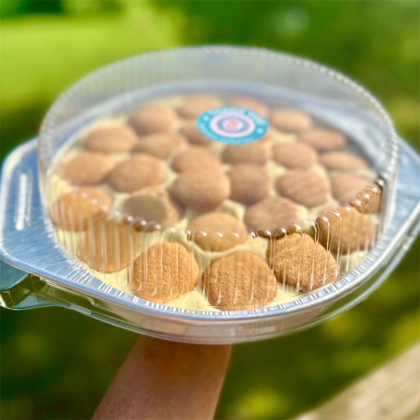Banana Pudding